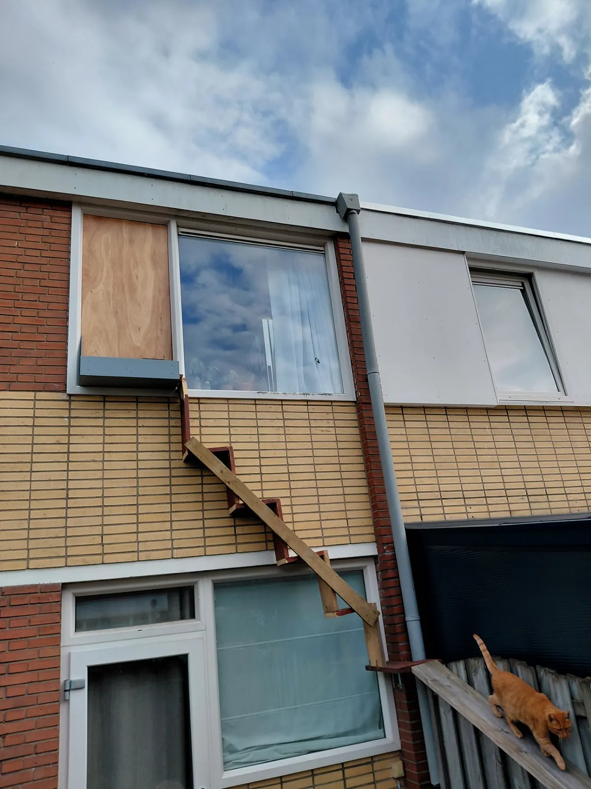 Kattentrap op maat, gemaakt door Femke van De Klusbakfiets